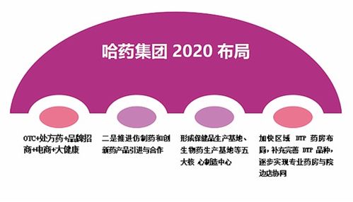 哈藥股份 舉步維艱下的多維調整與信息系統運維破局之路